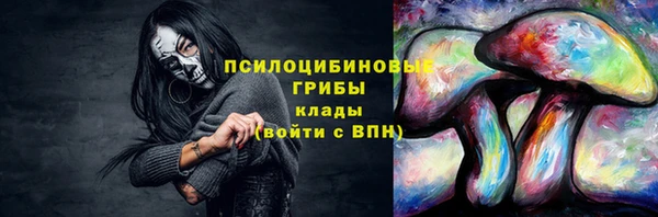 2c-b Арсеньев