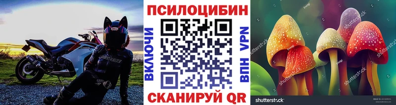 гидра Урюпинск Галлюциногенные грибы прущие грибы