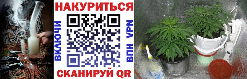ОМГ ОМГ зеркало  Урюпинск  Бошки Шишки конопля 